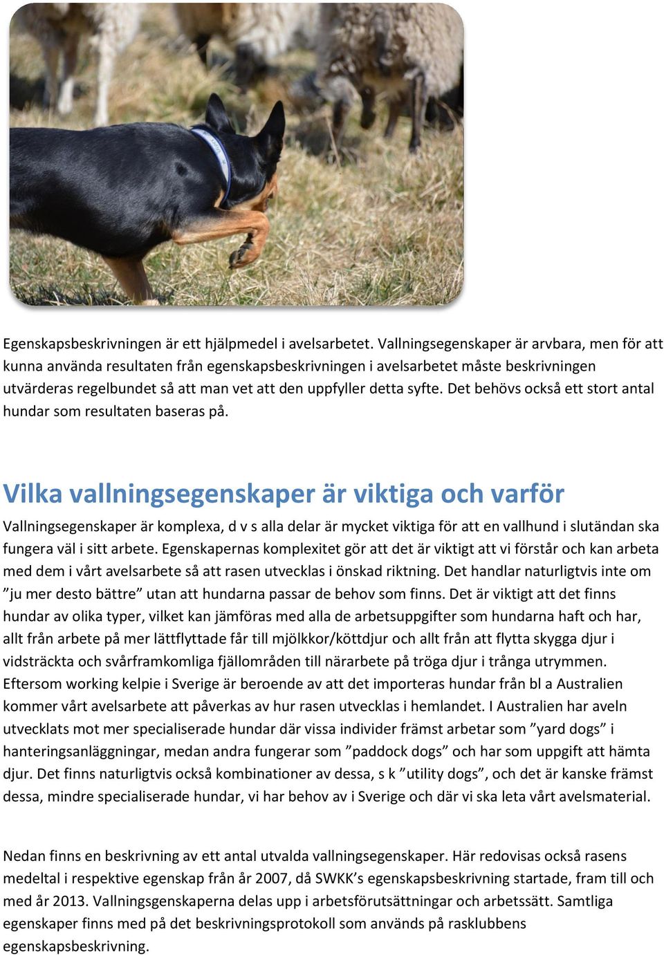 Det behövs också ett stort antal hundar som resultaten baseras på.