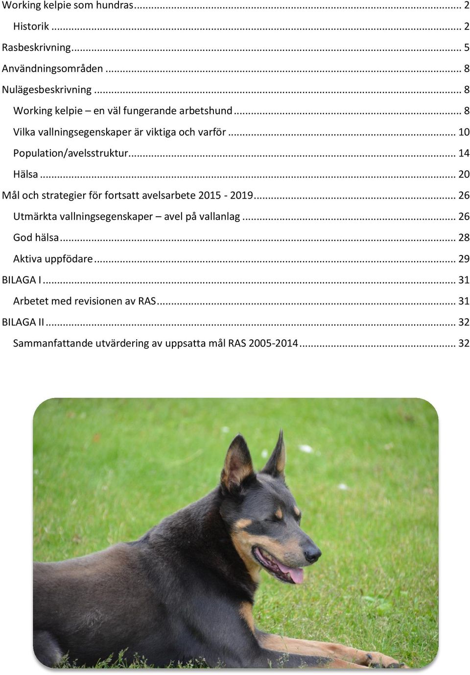 .. 14 Hälsa... 20 Mål och strategier för fortsatt avelsarbete 2015-2019... 26 Utmärkta vallningsegenskaper avel på vallanlag.