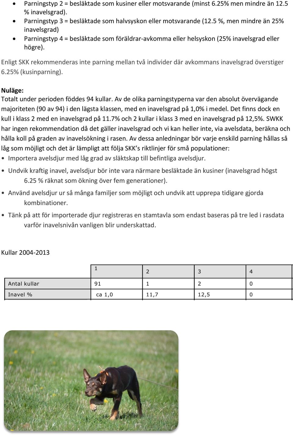 Enligt SKK rekommenderas inte parning mellan två individer där avkommans inavelsgrad överstiger 6.25% (kusinparning). Nuläge: Totalt under perioden föddes 94 kullar.