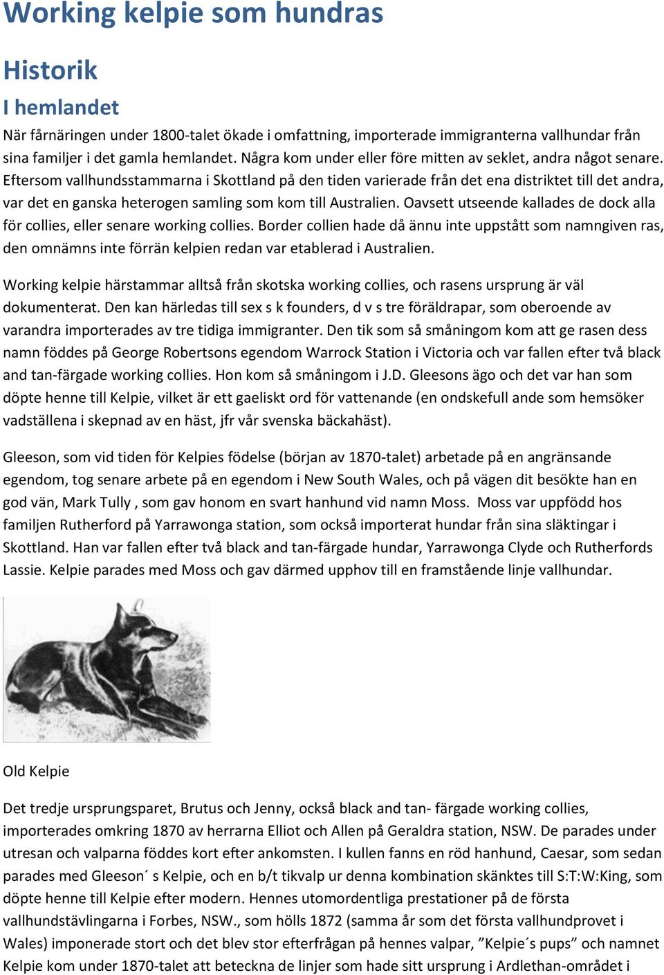 Eftersom vallhundsstammarna i Skottland på den tiden varierade från det ena distriktet till det andra, var det en ganska heterogen samling som kom till Australien.
