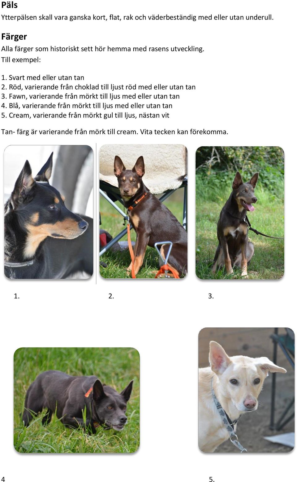 Röd, varierande från choklad till ljust röd med eller utan tan 3. Fawn, varierande från mörkt till ljus med eller utan tan 4.