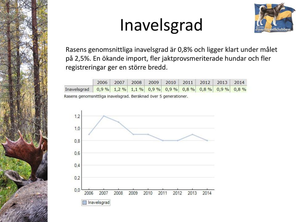 En ökande import, fler jaktprovsmeriterade