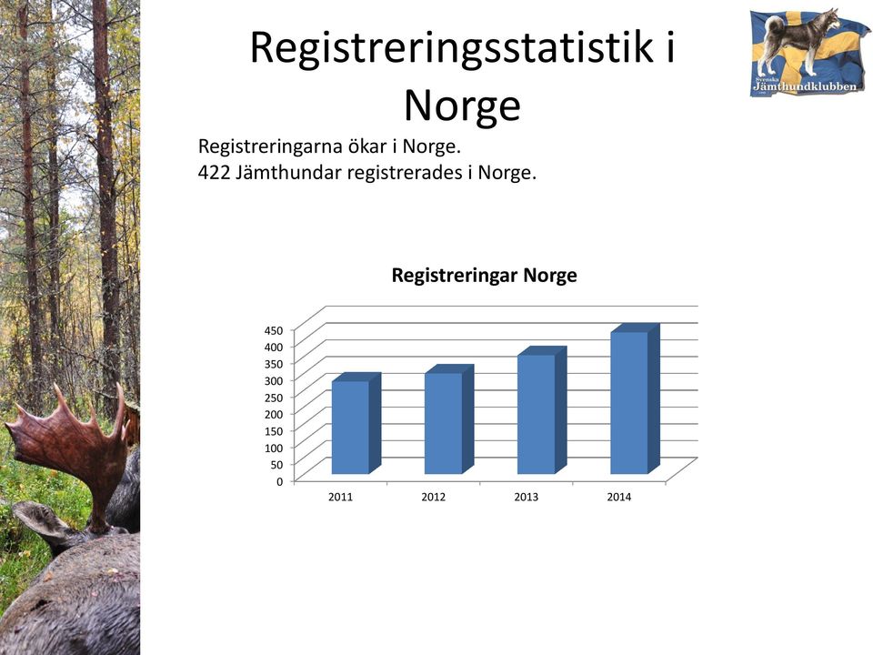 422 Jämthundar registrerades i Norge.