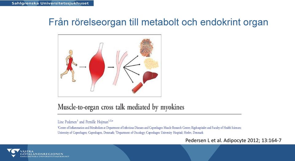 organ Pedersen L et al.