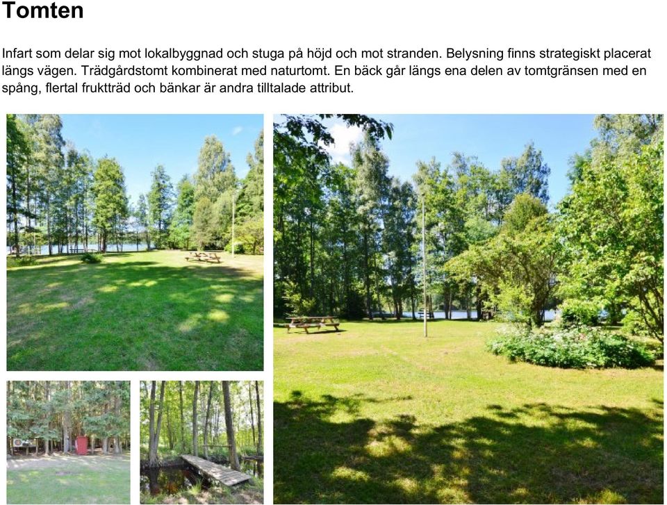 Trädgårdstomt kombinerat med naturtomt.