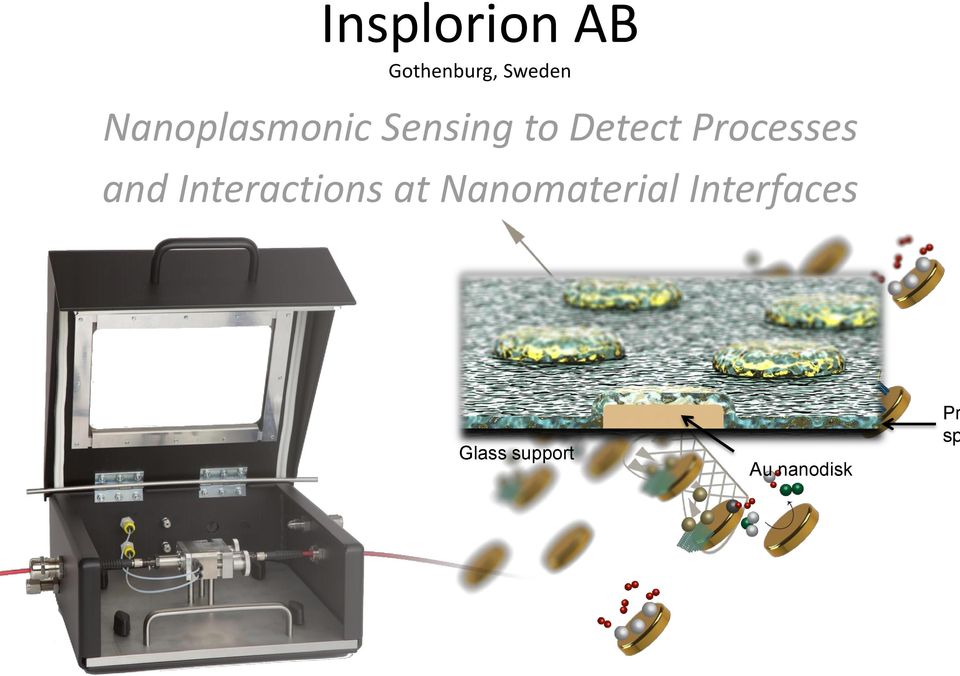 Processes and Interactions at
