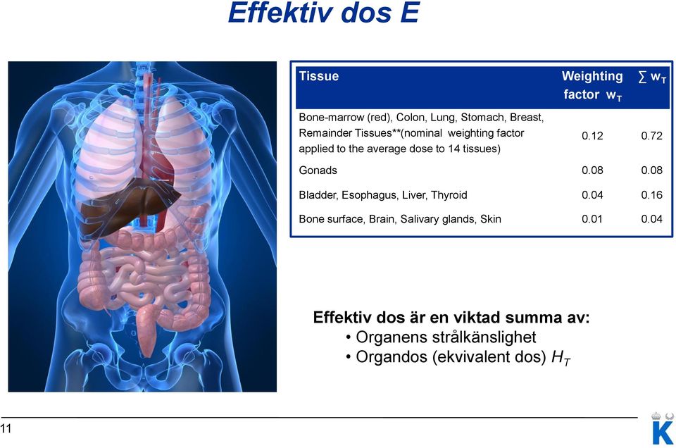 72 Gonads 0.08 0.08 Bladder, Esophagus, Liver, Thyroid 0.04 0.