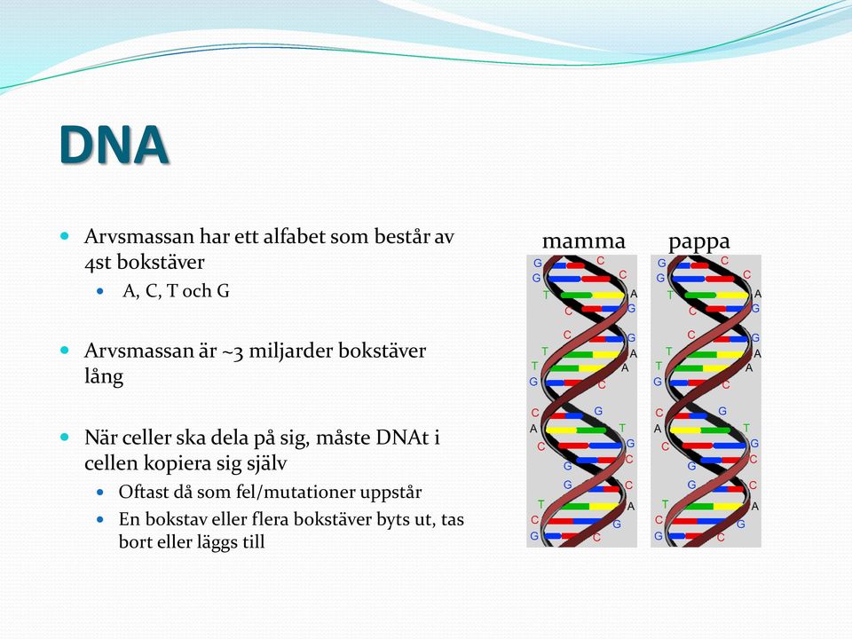 på sig, måste DNAt i cellen kopiera sig själv Oftast då som fel/mutationer