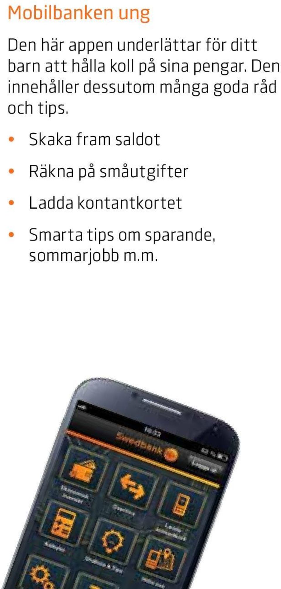 Den innehåller dessutom många goda råd och tips.