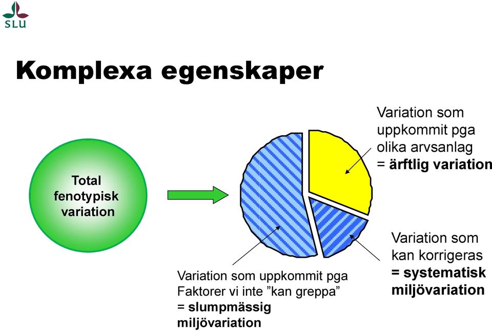 uppkommit pga Faktorer vi inte kan greppa = slumpmässig