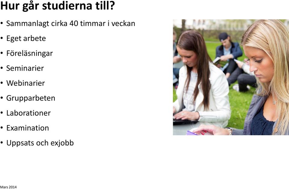 arbete Föreläsningar Seminarier