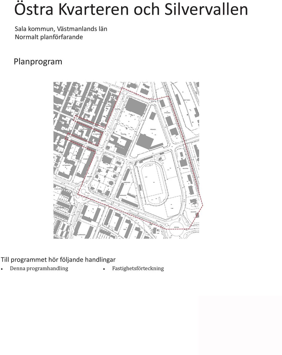 Planprogram Till programmet hör följande