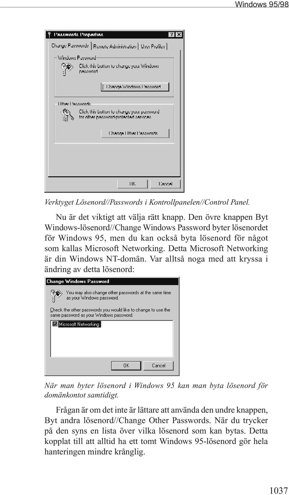 Detta Microsoft Networking är din Windows NT-domän.