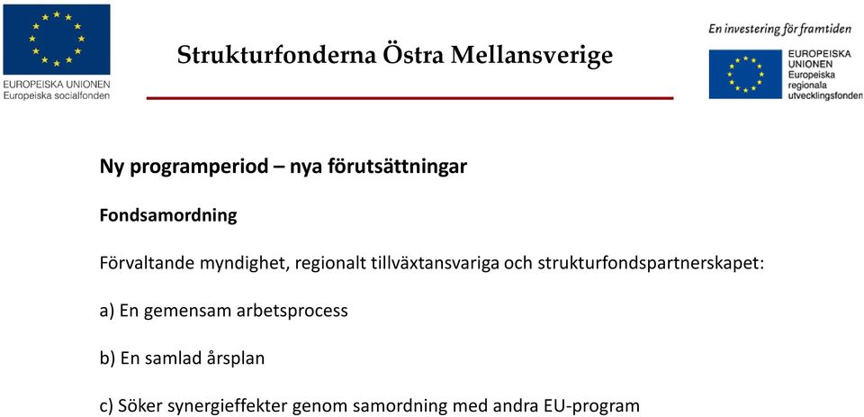 strukturfondspartnerskapet: a) En gemensam arbetsprocess b)