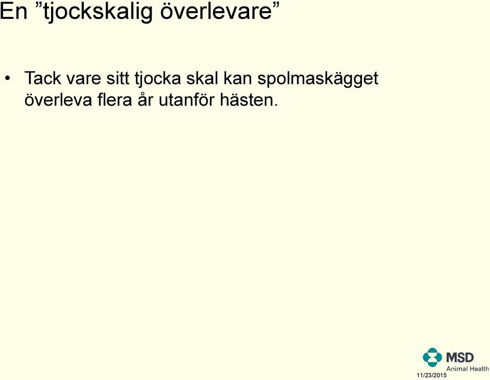 kan spolmaskägget överleva