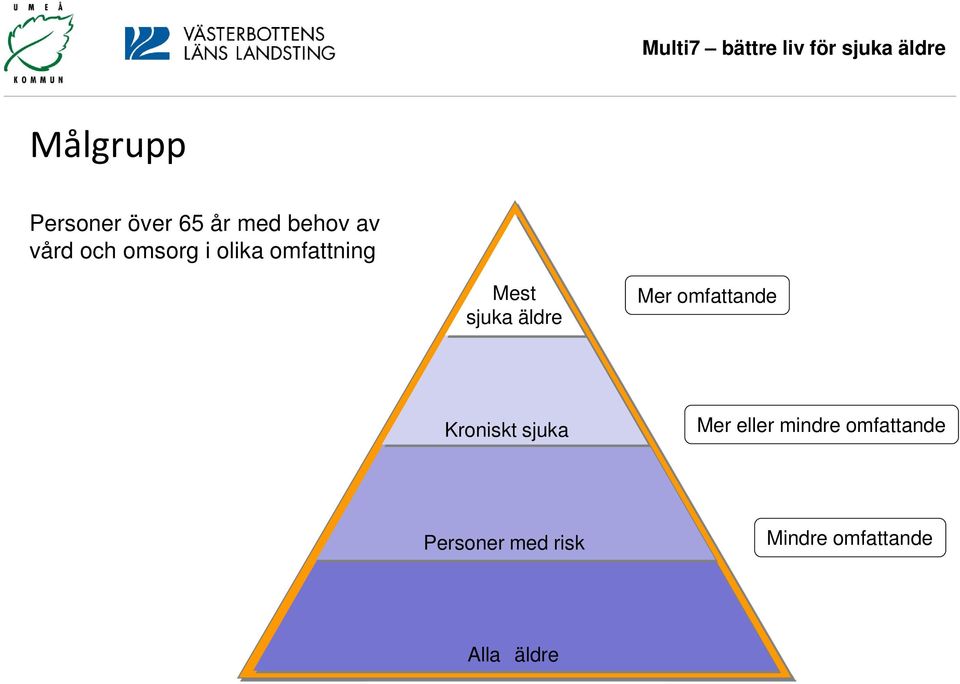 Mer omfattande Kroniskt sjuka Mer eller mindre