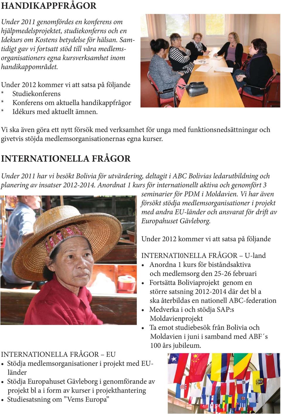Vi ska även göra ett nytt försök med verksamhet för unga med funktionsnedsättningar och givetvis stöjda medlemsorganisationernas egna kurser.