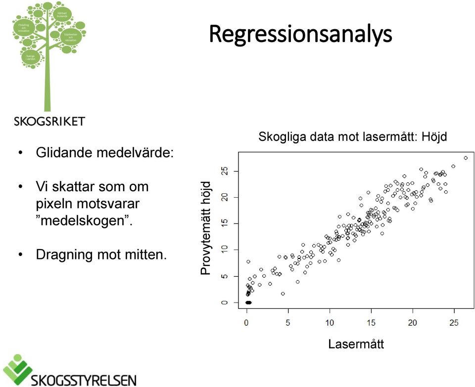 lasermått: Höjd Vi skattar som om pixeln