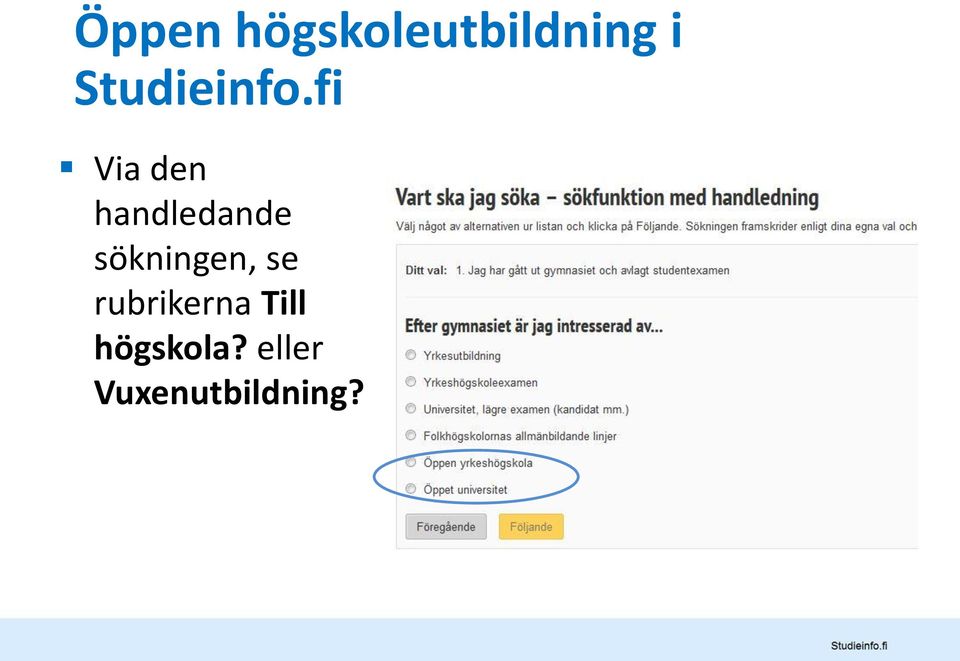 fi Via den handledande