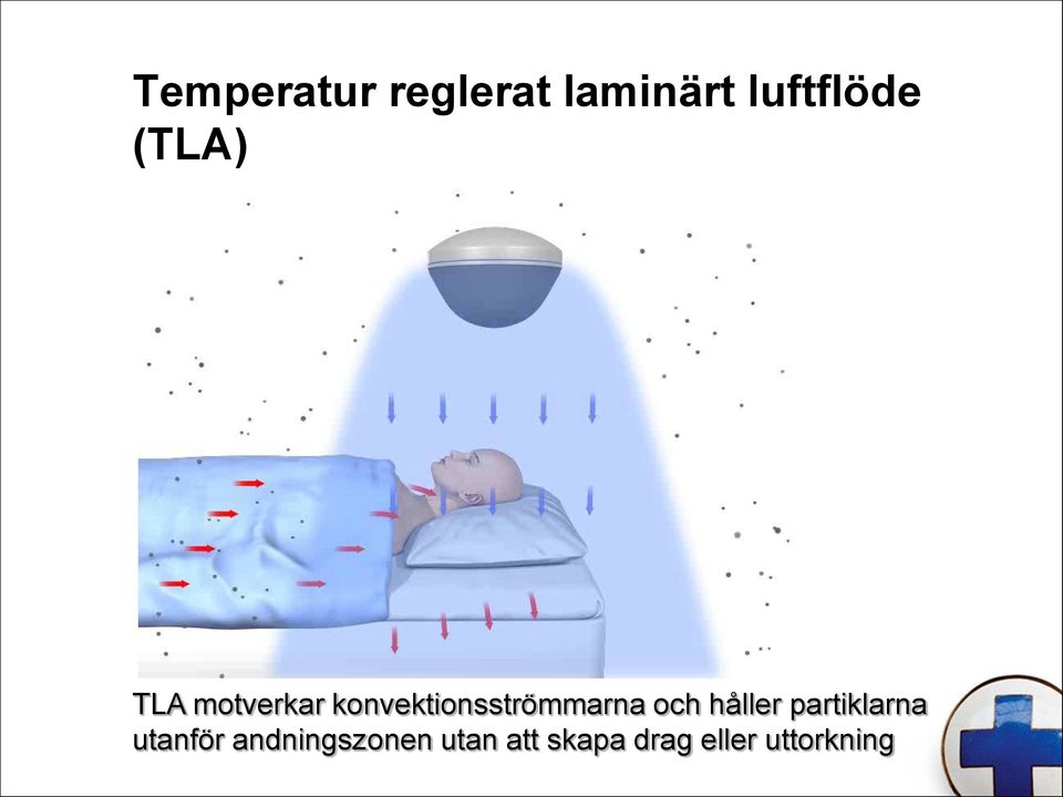 konvektionsströmmarna och håller