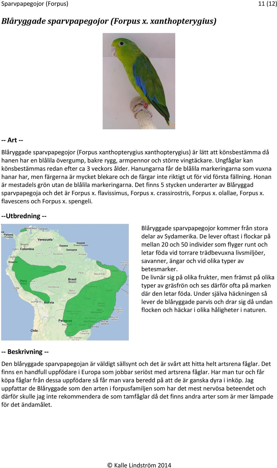 Ungfåglar kan könsbestämmas redan efter ca 3 veckors ålder.