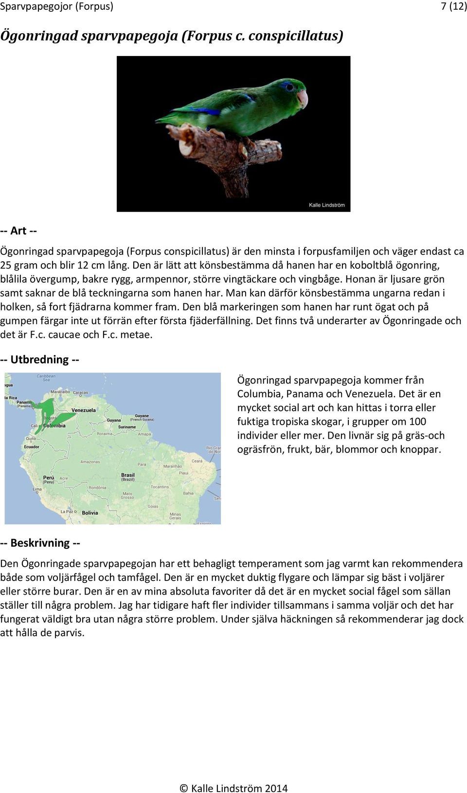 Den är lätt att könsbestämma då hanen har en koboltblå ögonring, blålila övergump, bakre rygg, armpennor, större vingtäckare och vingbåge.