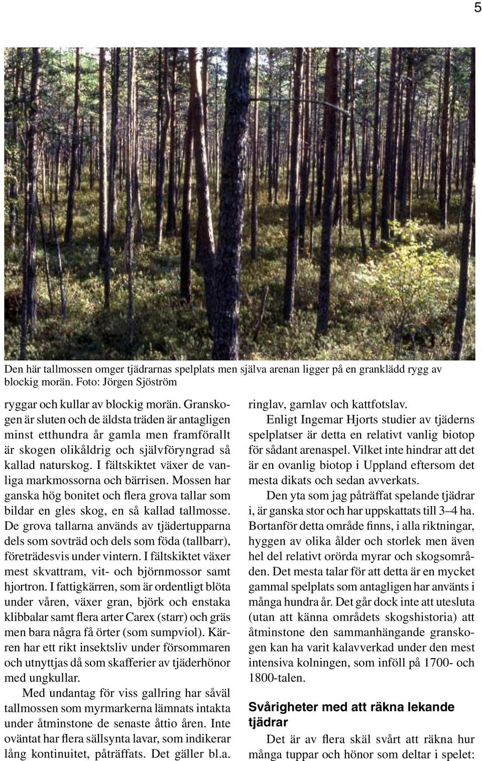 I fältskiktet växer de vanliga markmossorna och bärrisen. Mossen har ganska hög bonitet och flera grova tallar som bildar en gles skog, en så kallad tallmosse.