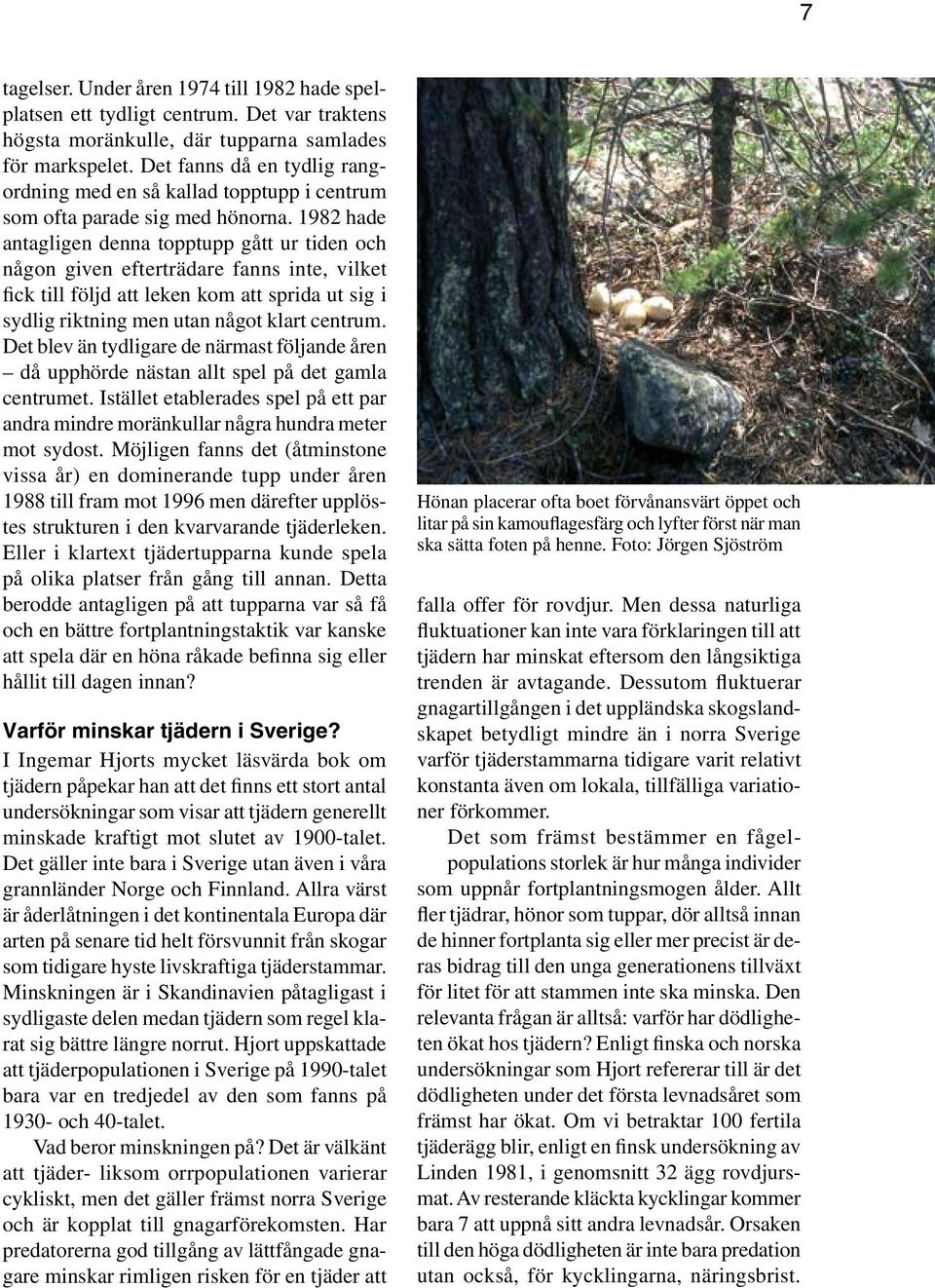 1982 hade antagligen denna topptupp gått ur tiden och någon given efterträdare fanns inte, vilket fick till följd att leken kom att sprida ut sig i sydlig riktning men utan något klart centrum.
