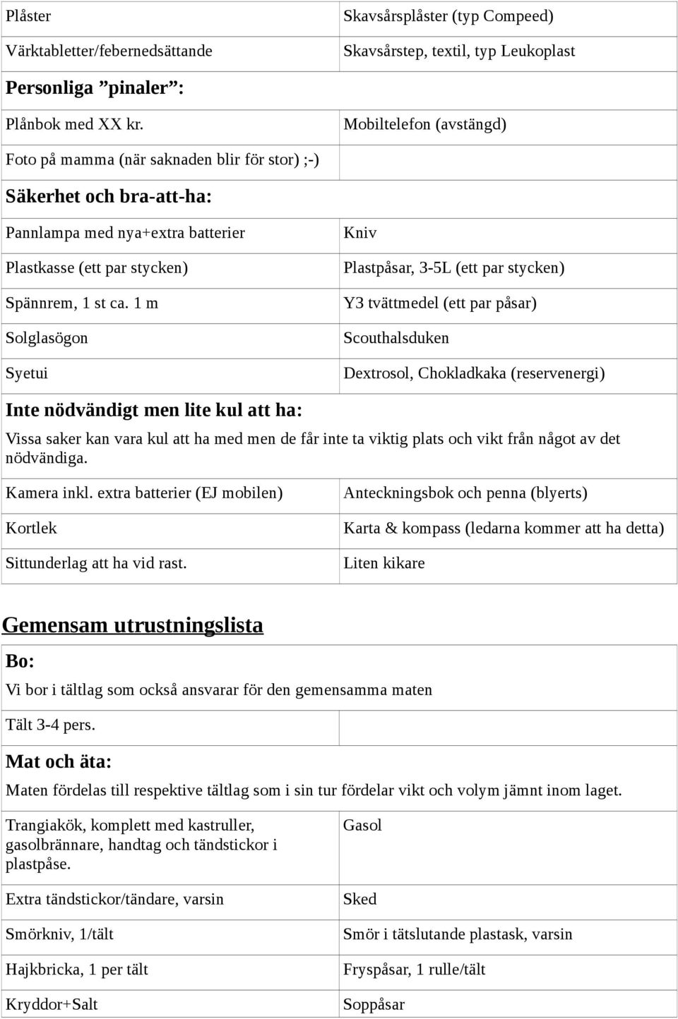 1 m Solglasögon Syetui Kniv Plastpåsar, 3-5L (ett par stycken) Y3 tvättmedel (ett par påsar) Scouthalsduken Dextrosol, Chokladkaka (reservenergi) Inte nödvändigt men lite kul att ha: Vissa saker kan