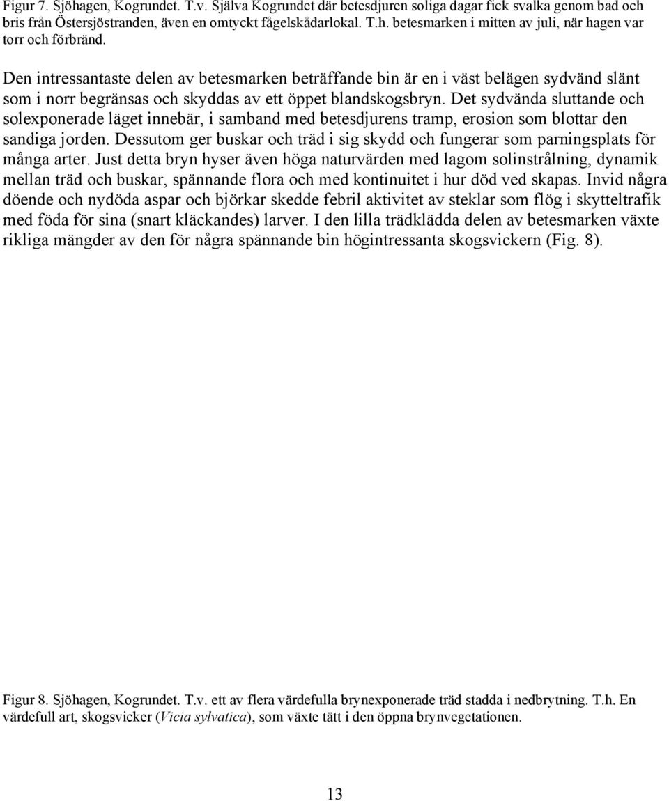 Det sydvända sluttande och solexponerade läget innebär, i samband med betesdjurens tramp, erosion som blottar den sandiga jorden.