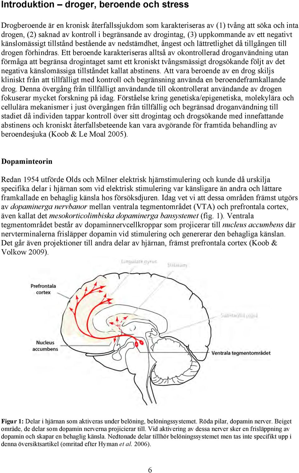 Ett beroende karakteriseras alltså av okontrollerad droganvändning utan förmåga att begränsa drogintaget samt ett kroniskt tvångsmässigt drogsökande följt av det negativa känslomässiga tillståndet