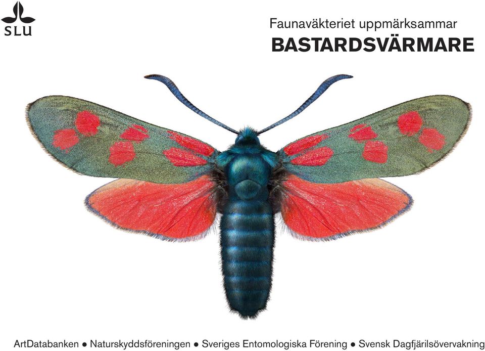 Naturskyddsföreningen Sveriges