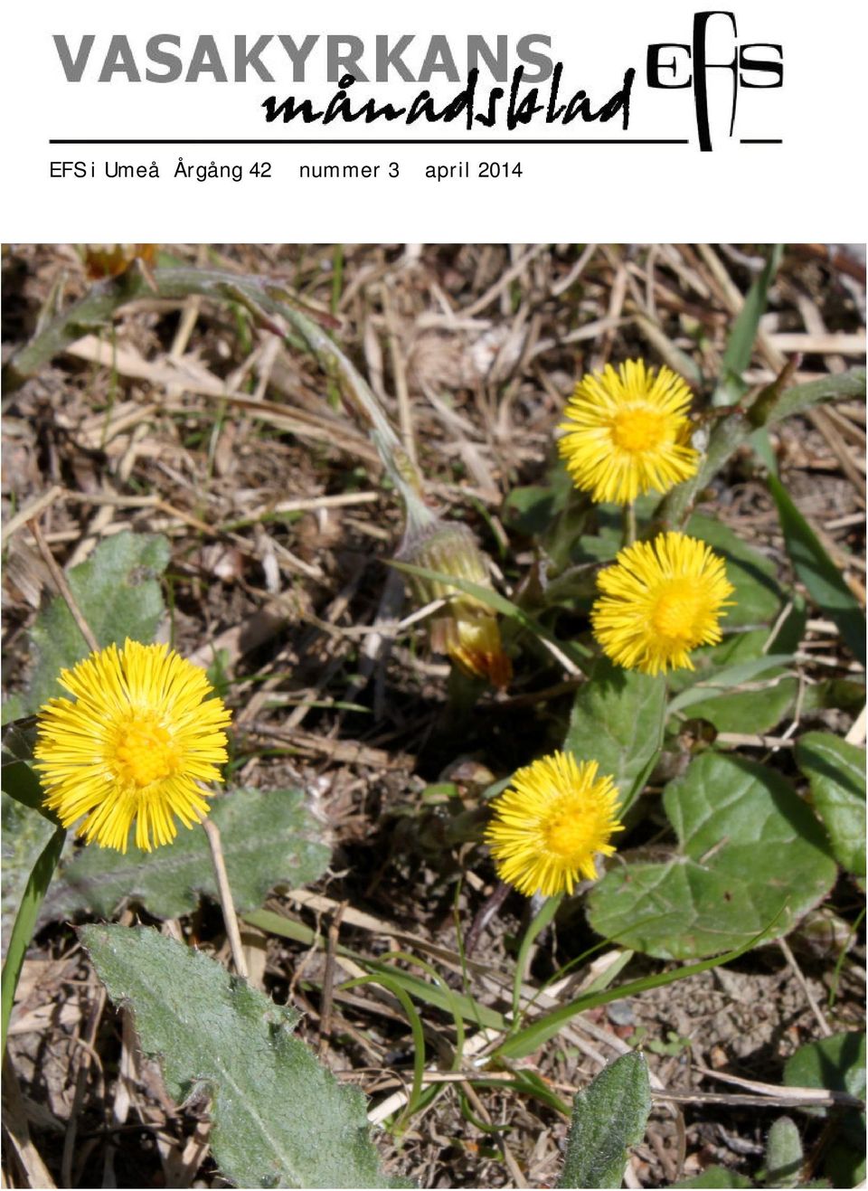 nummer 3 april 2014