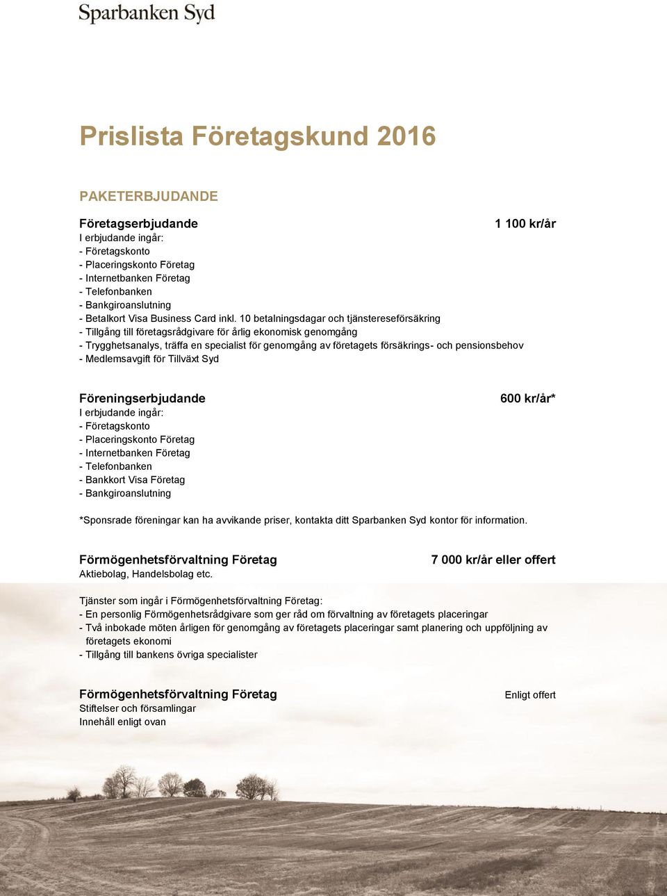 10 betalningsdagar och tjänstereseförsäkring - Tillgång till företagsrådgivare för årlig ekonomisk genomgång - Trygghetsanalys, träffa en specialist för genomgång av företagets försäkrings- och