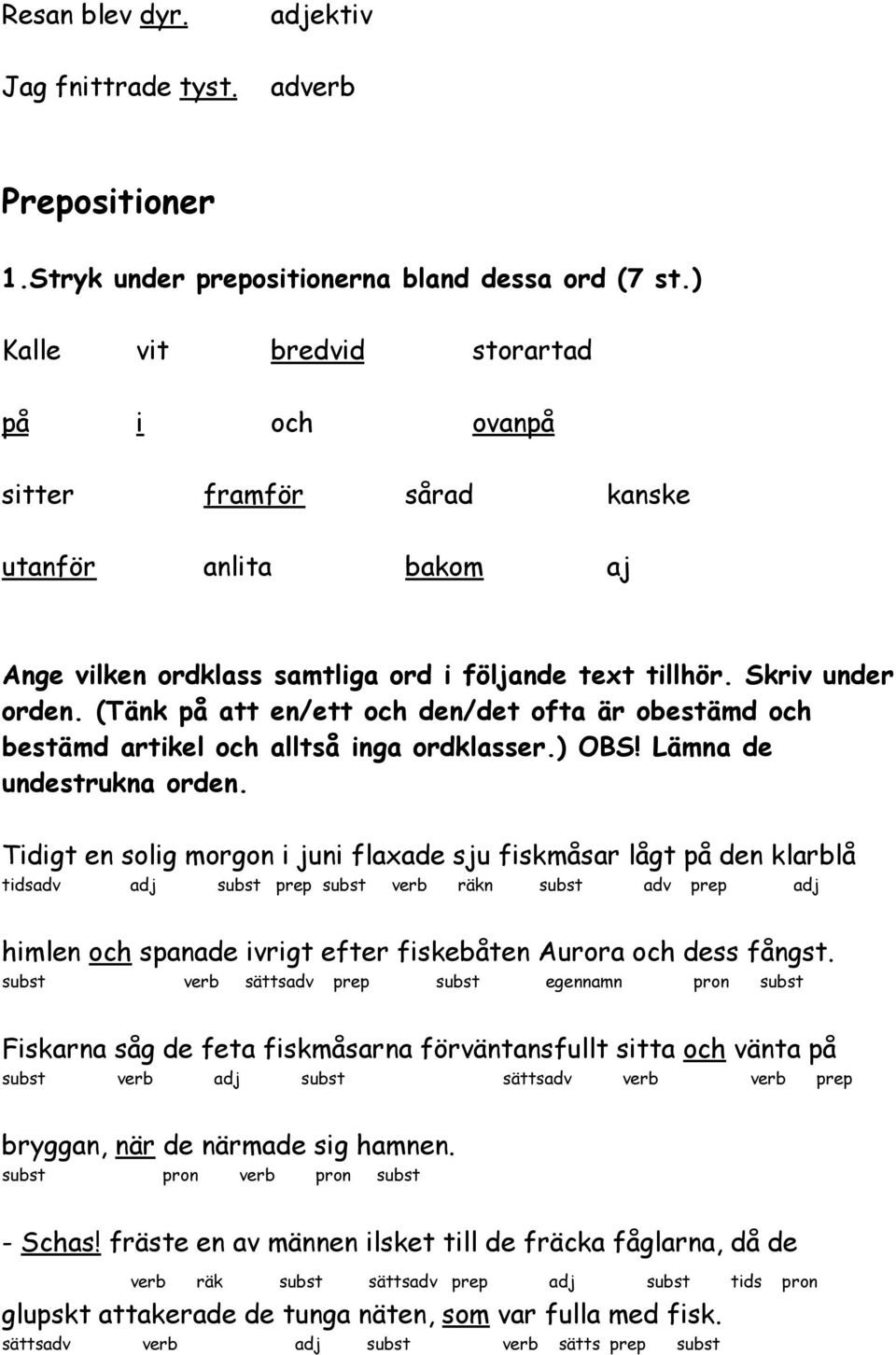 (Tänk på att en/ett och den/det ofta är obestämd och bestämd artikel och alltså inga ordklasser.) OBS Lämna de undestrukna orden.