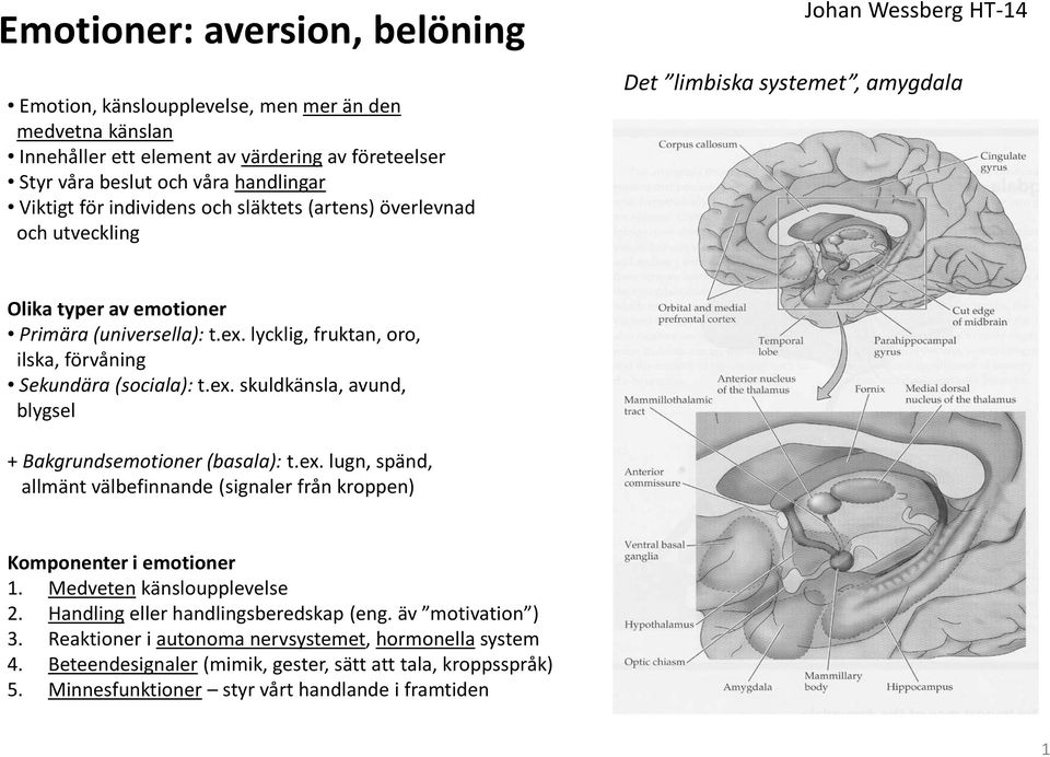 lycklig, fruktan, oro, ilska, förvåning Sekundära (sociala): t.ex. skuldkänsla, avund, blygsel + Bakgrundsemotioner (basala): t.ex. lugn, spänd, allmänt välbefinnande (signaler från kroppen) Komponenter i emotioner 1.