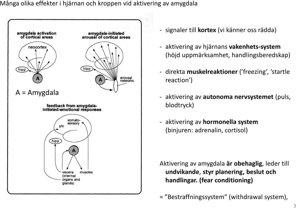 - aktivering av autonoma nervsystemet (puls, blodtryck) - aktivering av hormonella system (binjuren: adrenalin, cortisol) Aktivering av