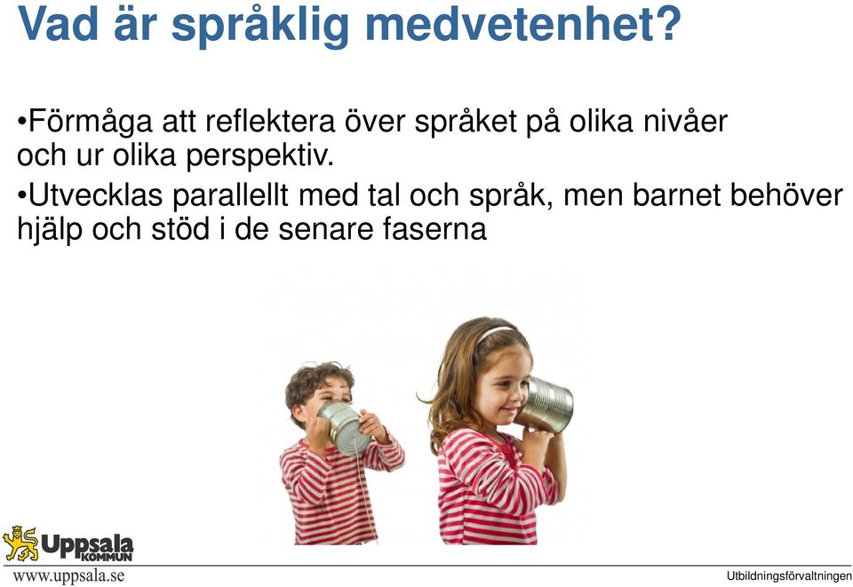 nivåer och ur olika perspektiv.