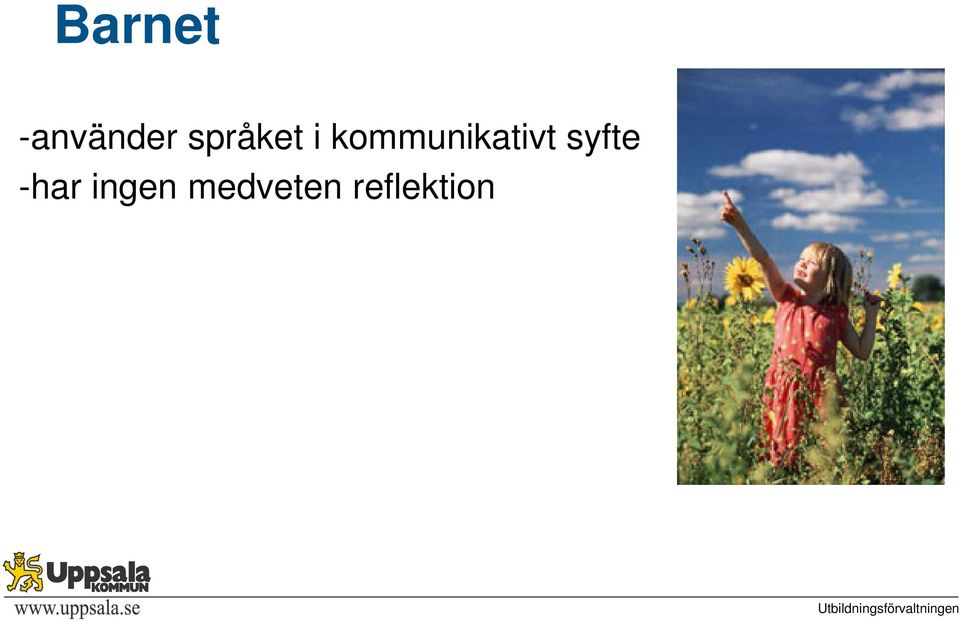 kommunikativt syfte