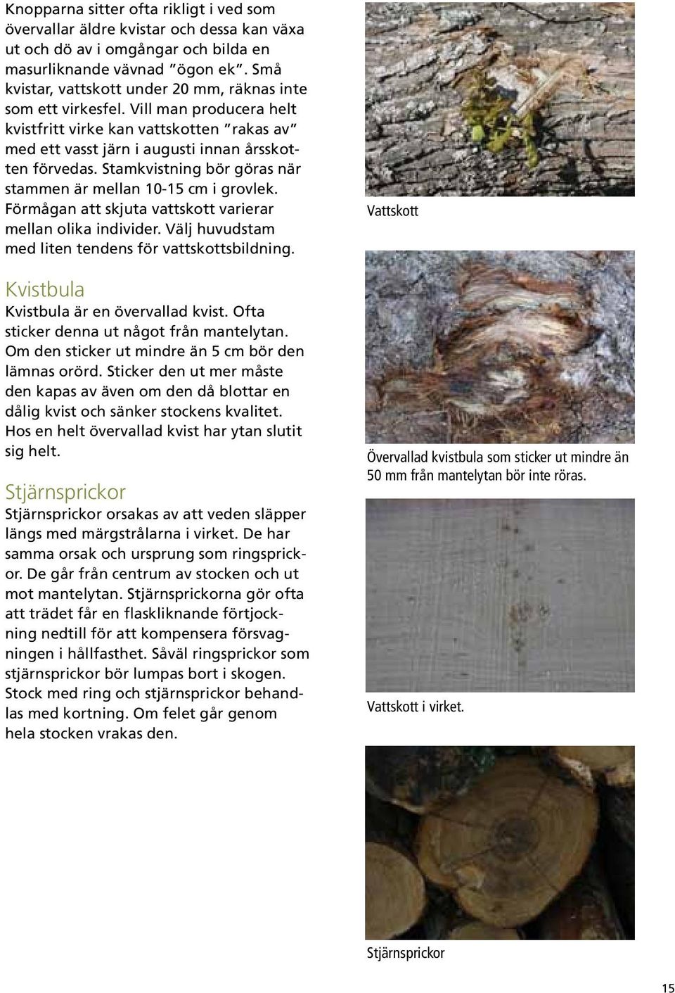 Stamkvistning bör göras när stammen är mellan 10-15 cm i grovlek. Förmågan att skjuta vattskott varierar mellan olika individer. Välj huvudstam med liten tendens för vattskottsbildning.