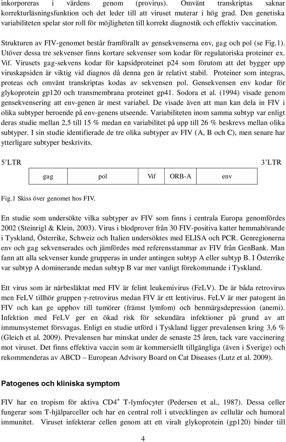 1). Utöver dessa tre sekvenser finns kortare sekvenser som kodar för regulatoriska proteiner ex. Vif.