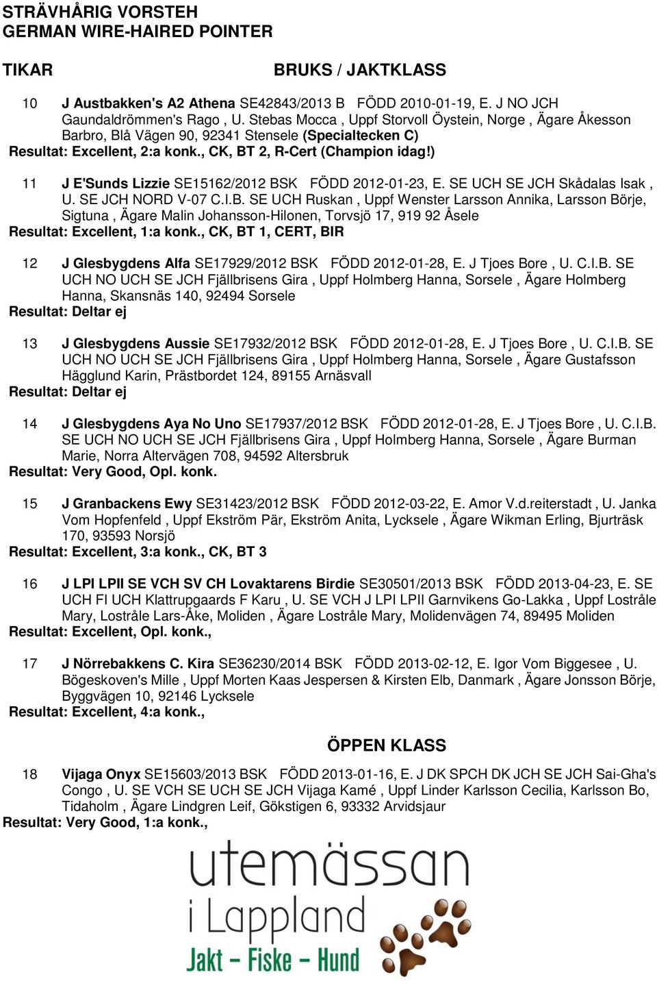 ) 11 J E'Sunds Lizzie SE15162/2012 BSK FÖDD 2012-01-23, E. SE UCH SE JCH Skådalas Isak, U. SE JCH NORD V-07 C.I.B. SE UCH Ruskan, Uppf Wenster Larsson Annika, Larsson Börje, Sigtuna, Ägare Malin Johansson-Hilonen, Torvsjö 17, 919 92 Åsele Resultat: Excellent, 1:a konk.
