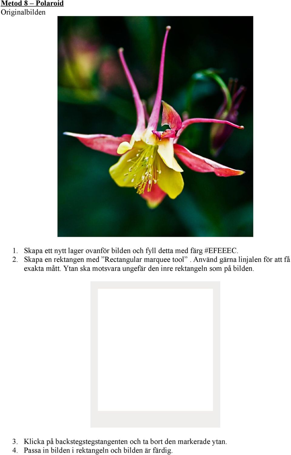 Skapa en rektangen med Rectangular marquee tool. Använd gärna linjalen för att få exakta mått.