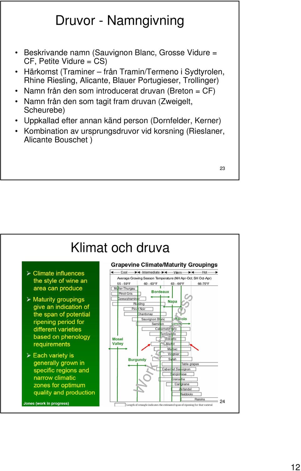 introducerat druvan (Breton = CF) Namn från den som tagit fram druvan (Zweigelt, Scheurebe) Uppkallad efter annan känd