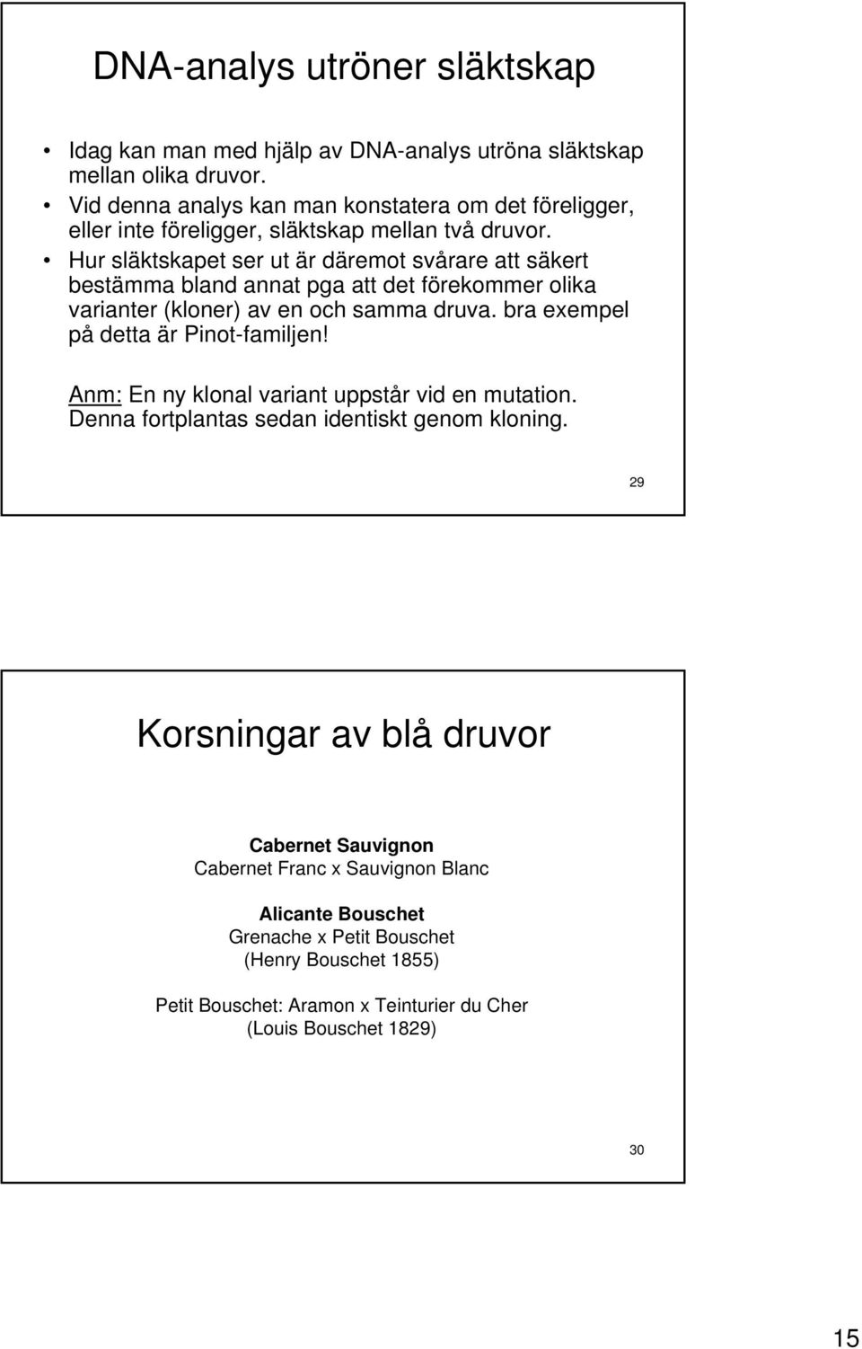 Hur släktskapet ser ut är däremot svårare att säkert bestämma bland annat pga att det förekommer olika varianter (kloner) av en och samma druva.