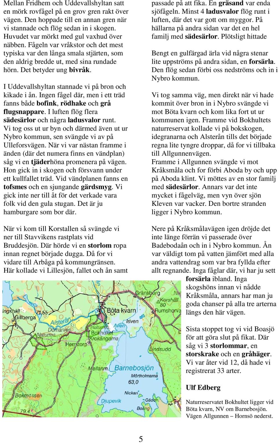 I Uddevallshyltan stannade vi på bron och kikade i ån. Ingen fågel där, men i ett träd fanns både bofink, rödhake och grå flugsnappare. I luften flög flera sädesärlor och några ladusvalor runt.