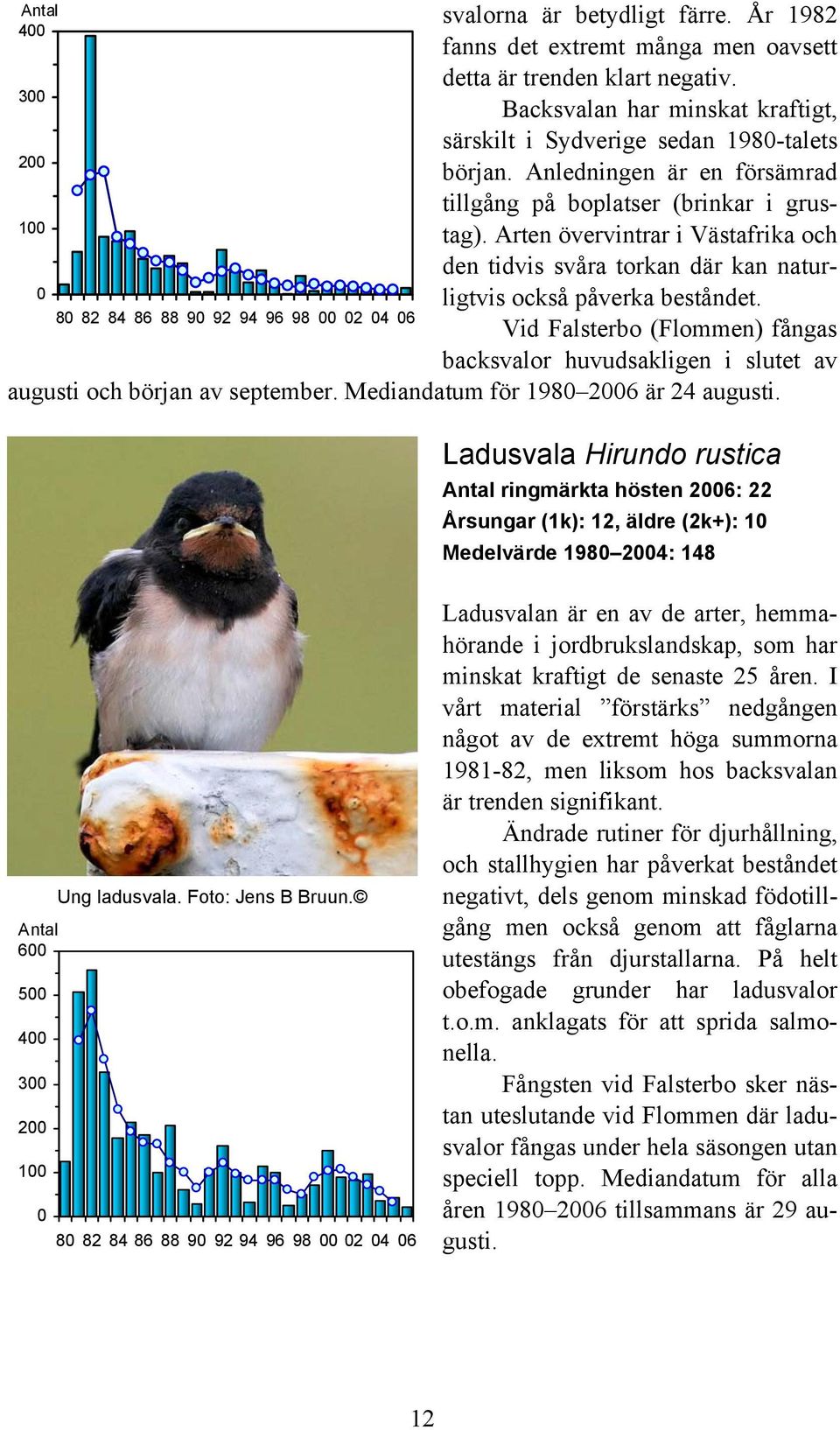 8 82 84 86 88 9 92 94 96 98 2 4 6 Vid Falsterbo (Flommen) fångas backsvalor huvudsakligen i slutet av augusti och början av september. Mediandatum för 198 26 är 24 augusti.