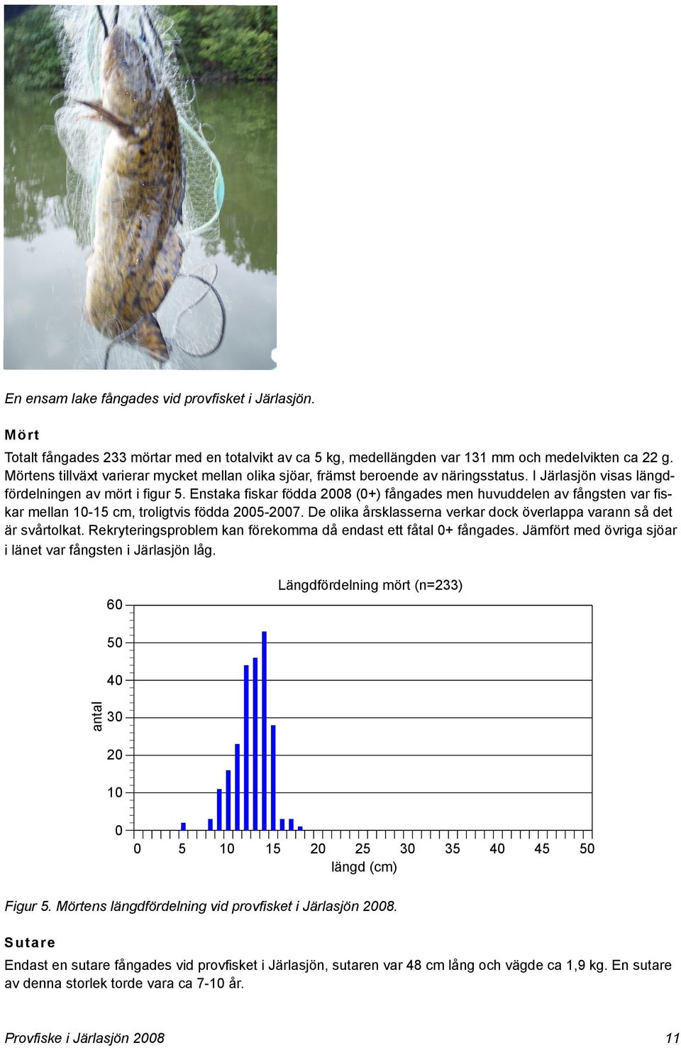 Enstaka fiskar födda 2008 (0+) fångades men huvuddelen av fångsten var fiskar mellan 10-15 cm, troligtvis födda 2005-2007. De olika årsklasserna verkar dock överlappa varann så det är svårtolkat.