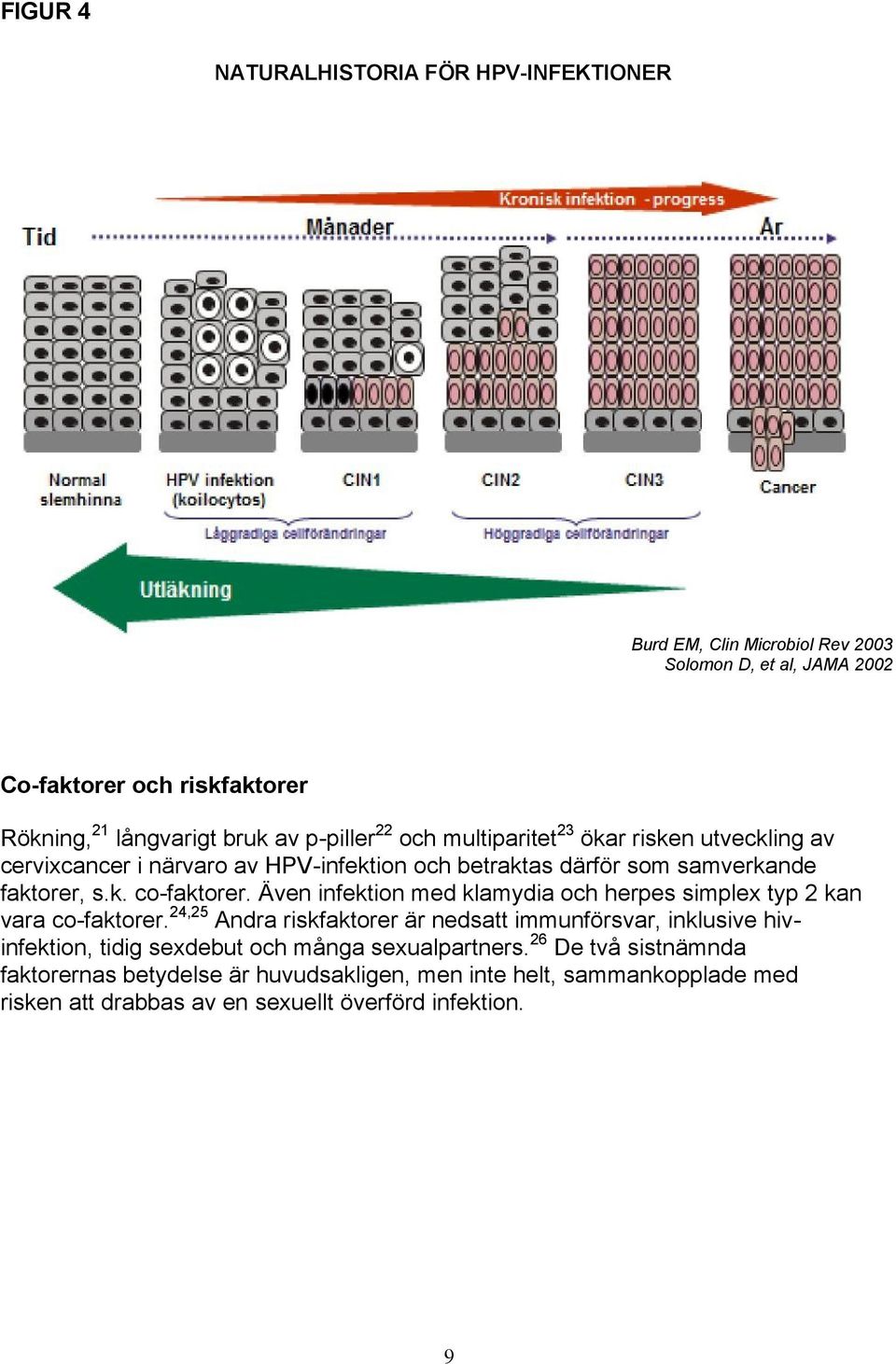 Även infektion med klamydia och herpes simplex typ 2 kan vara co-faktorer.