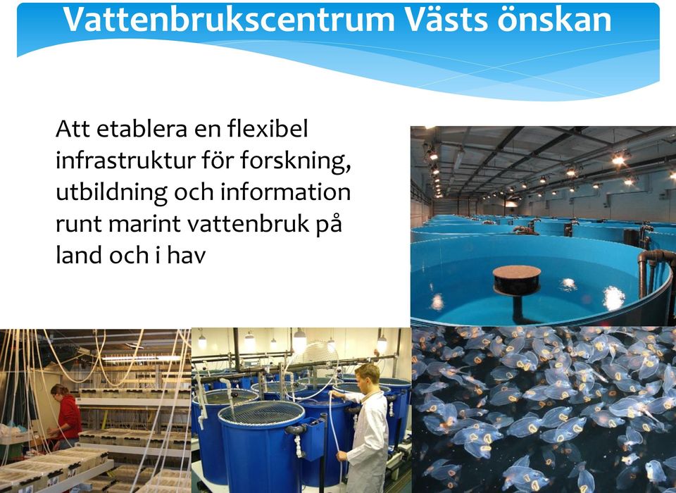 forskning, utbildning och information